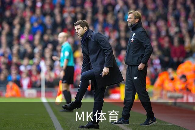 MK体育团队与业务介绍